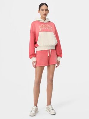 Sudaderas Amiri Vintage Hoodie Mujer Rosas | GKZIEA-053