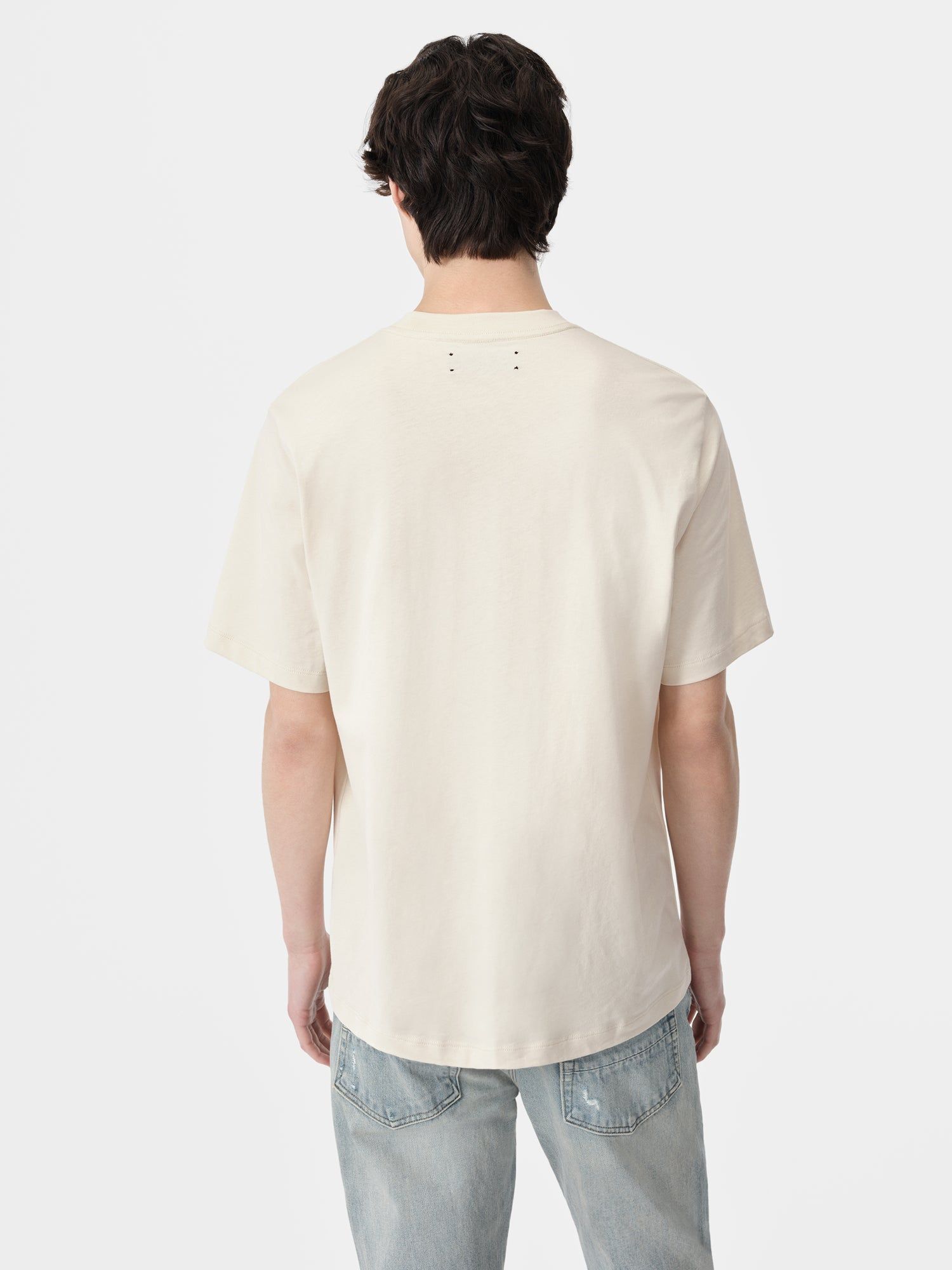 Camiseta Amiri Staggered Tee Hombre Birch | RYTGAQ-174