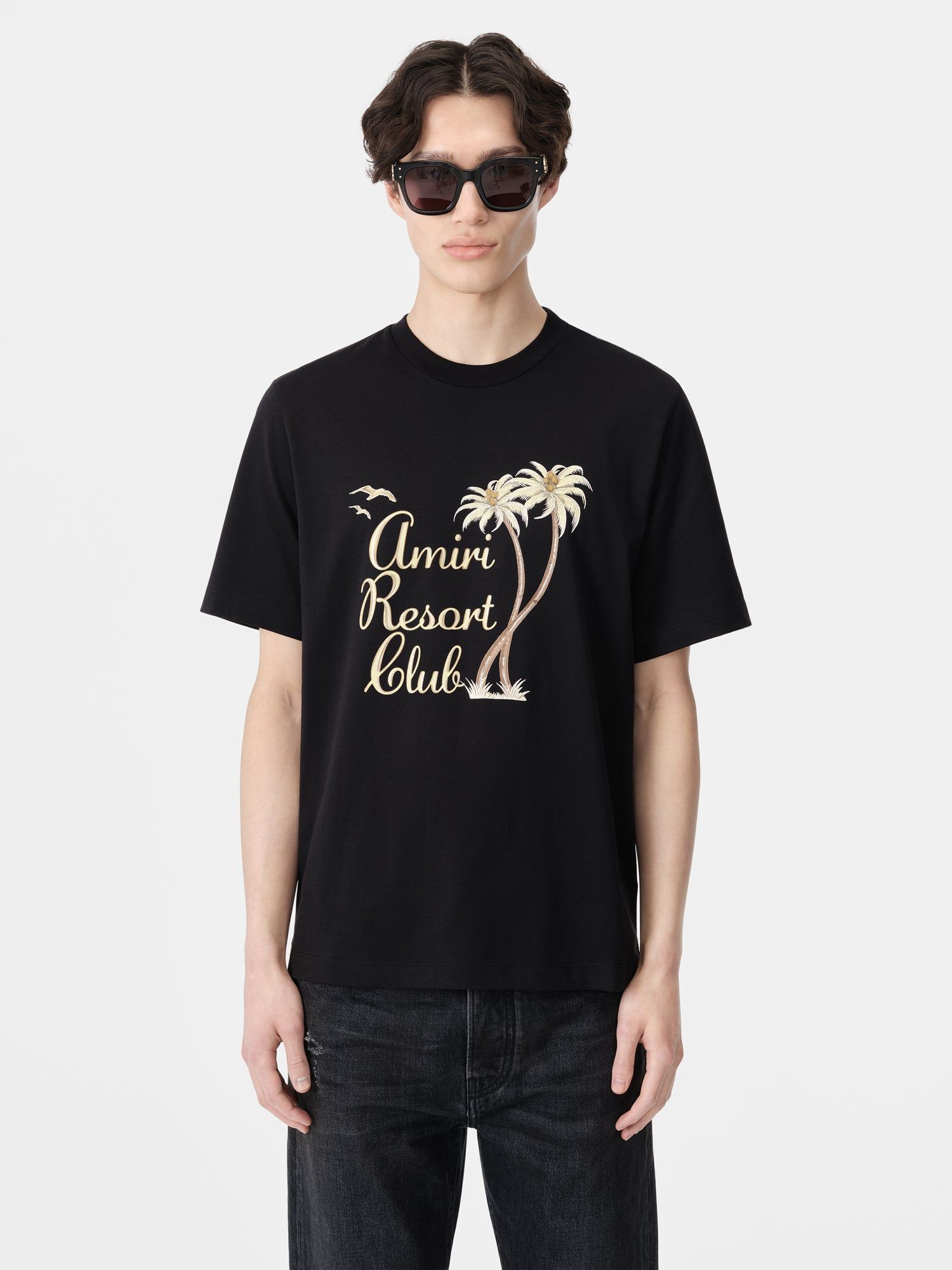 Camiseta Amiri Twisted Palms Tee Hombre Negros | JSKPWV-962